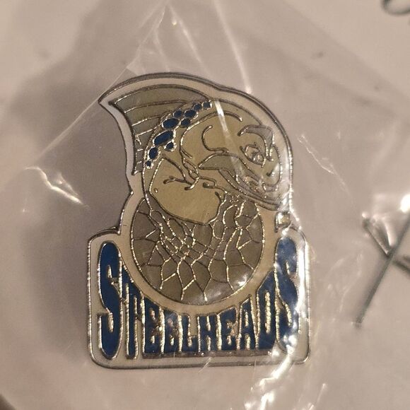 Vintage CBA Gary Steelheads Basketball Pin 2002 - 2003 - Picture 5 of 5